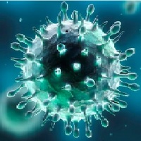 Coronavirus notizie ufficiali