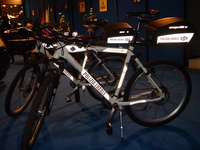 DSC08114.jpg