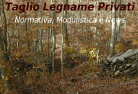 taglio bosco privati