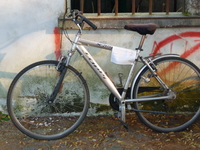 P1040467.jpg