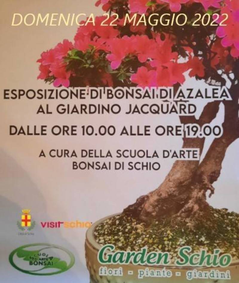 Esposizione bonsai di Azalea al Giardino Jacquard